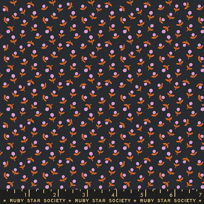 1/2 Yard -  Meadow Star Soft Black RS4103 15 Ruby by  Alexia Abegg