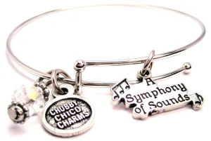 A Symphony Of Sounds Expandable Bangle Bracelet