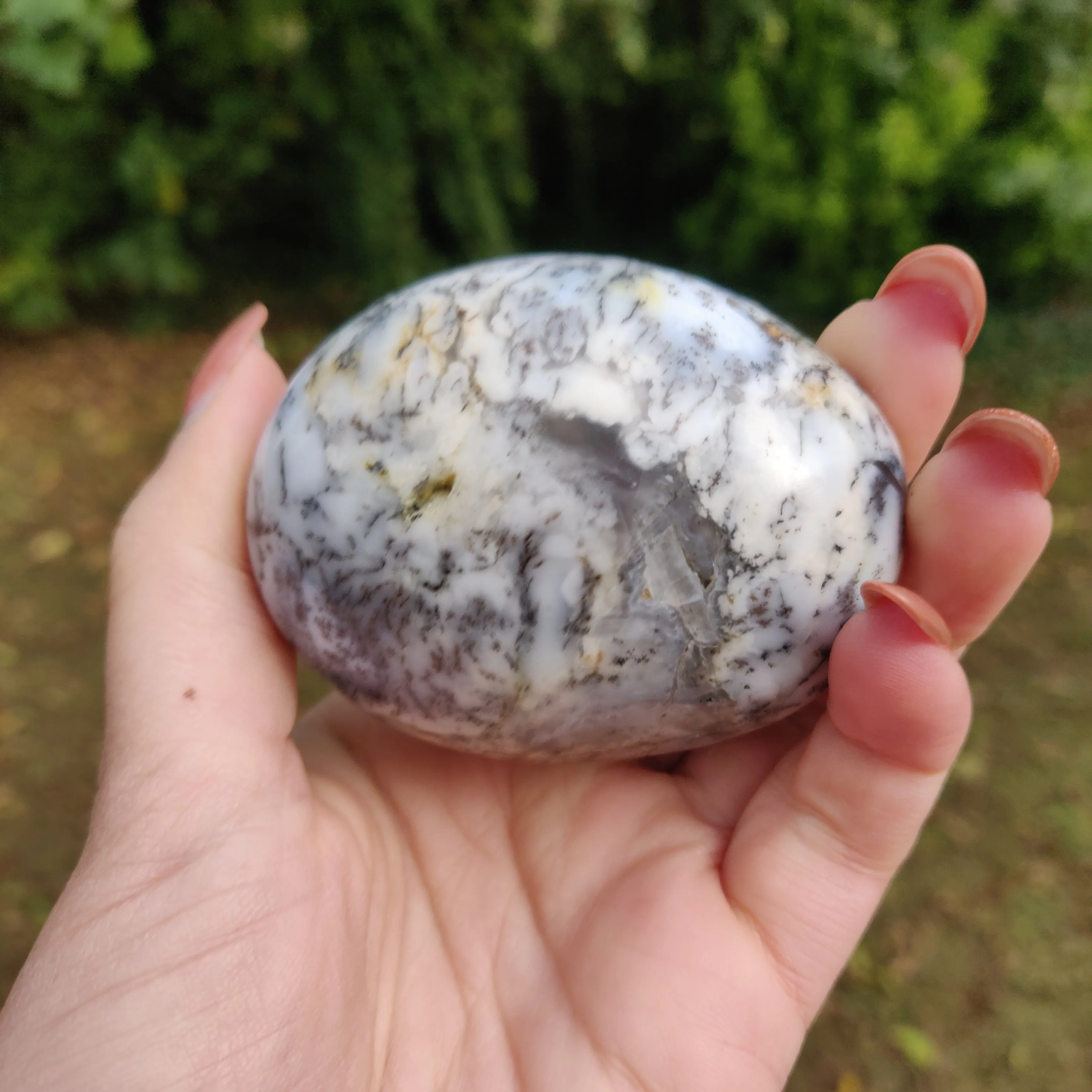 Dendritic Opal  Palm Stone (#13)