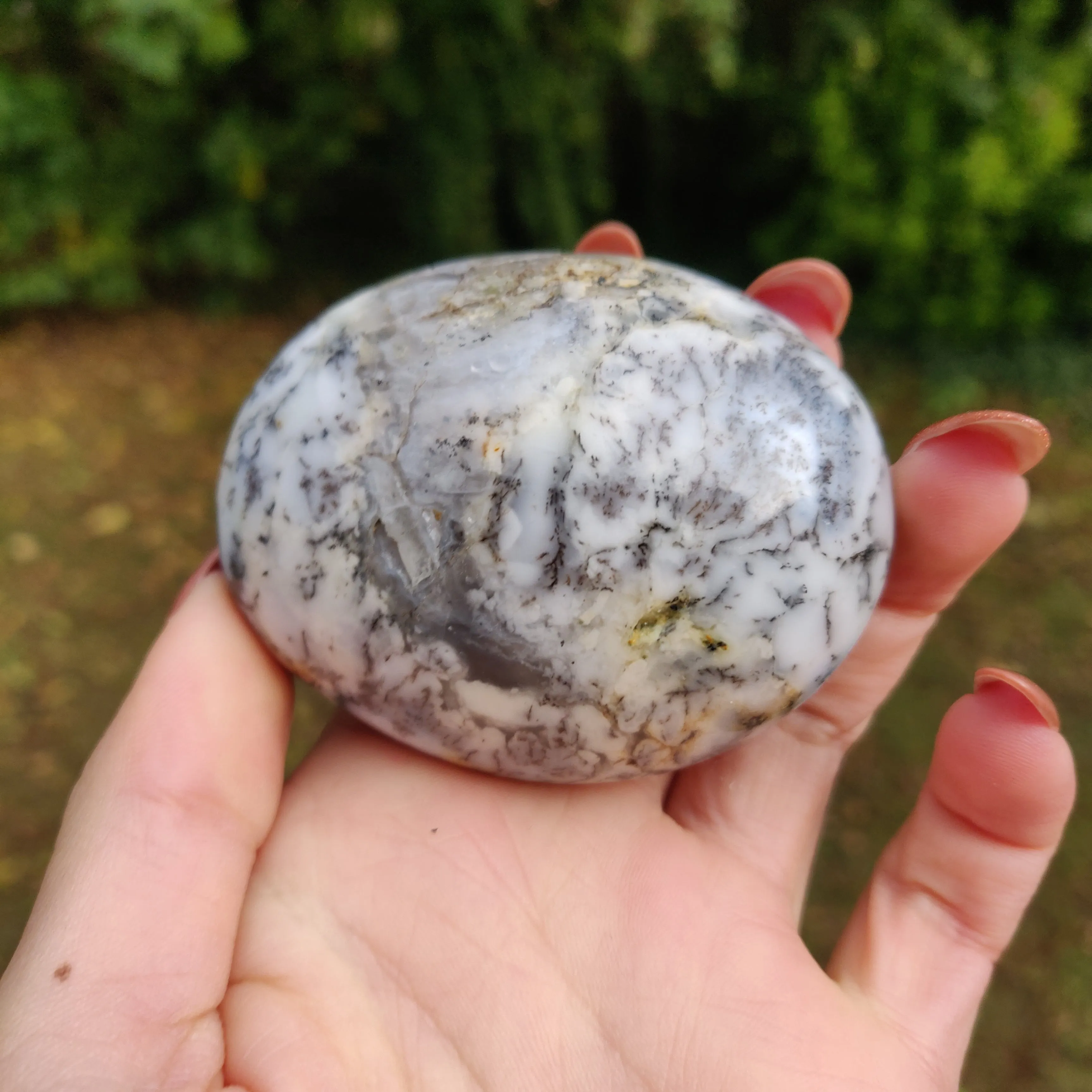 Dendritic Opal  Palm Stone (#13)