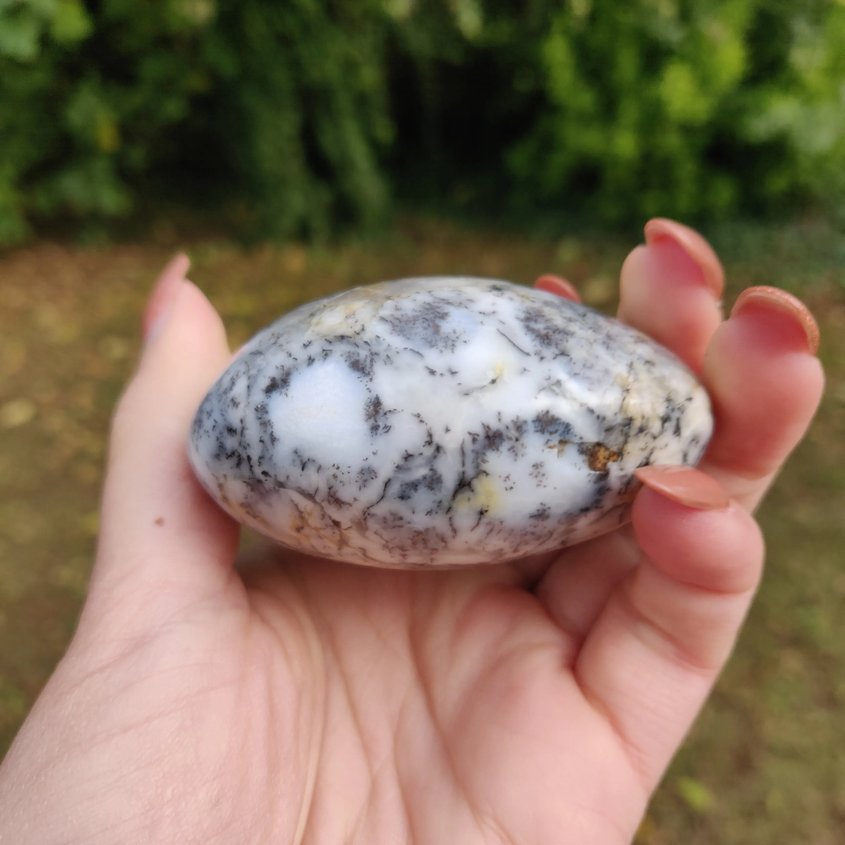 Dendritic Opal  Palm Stone (#13)