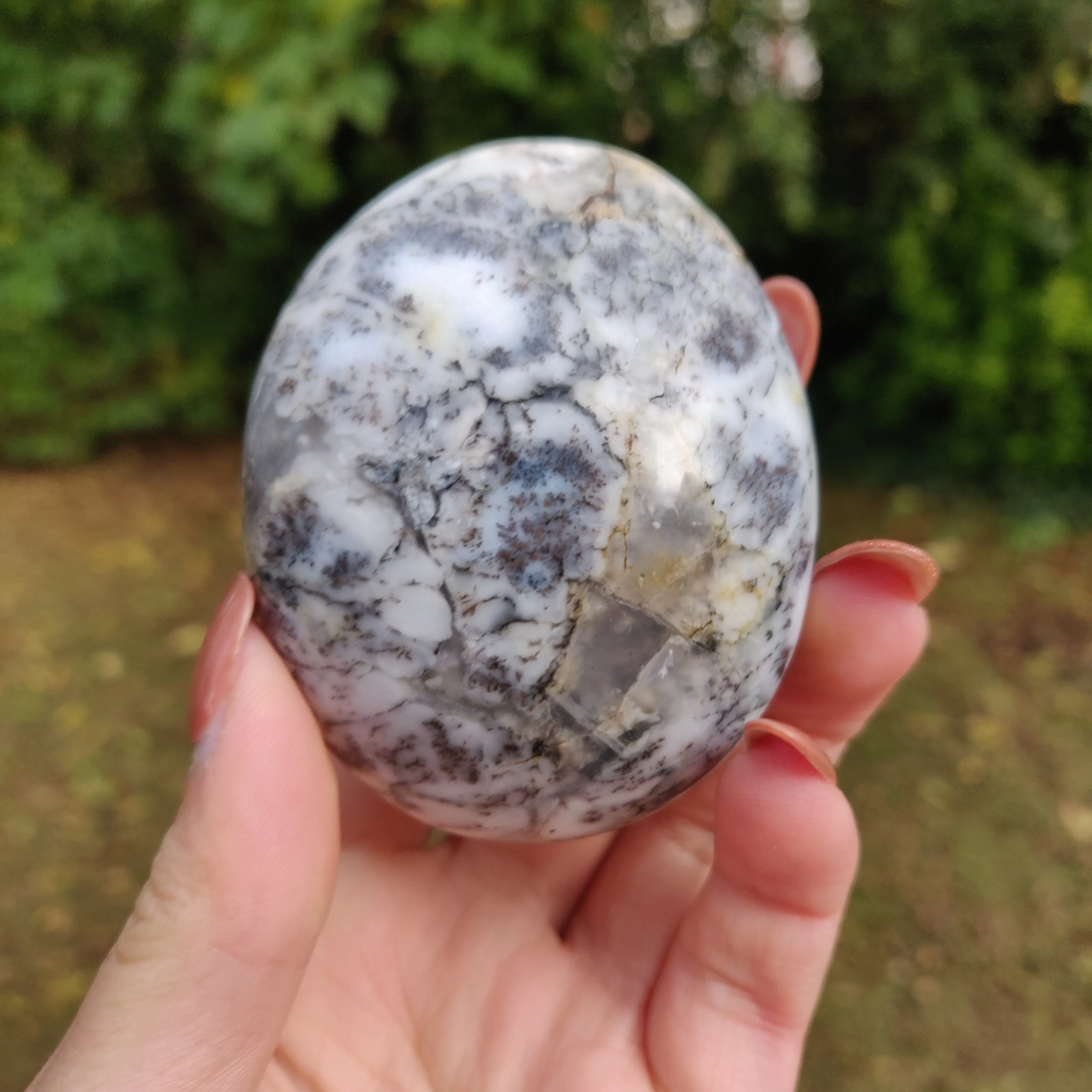 Dendritic Opal  Palm Stone (#13)