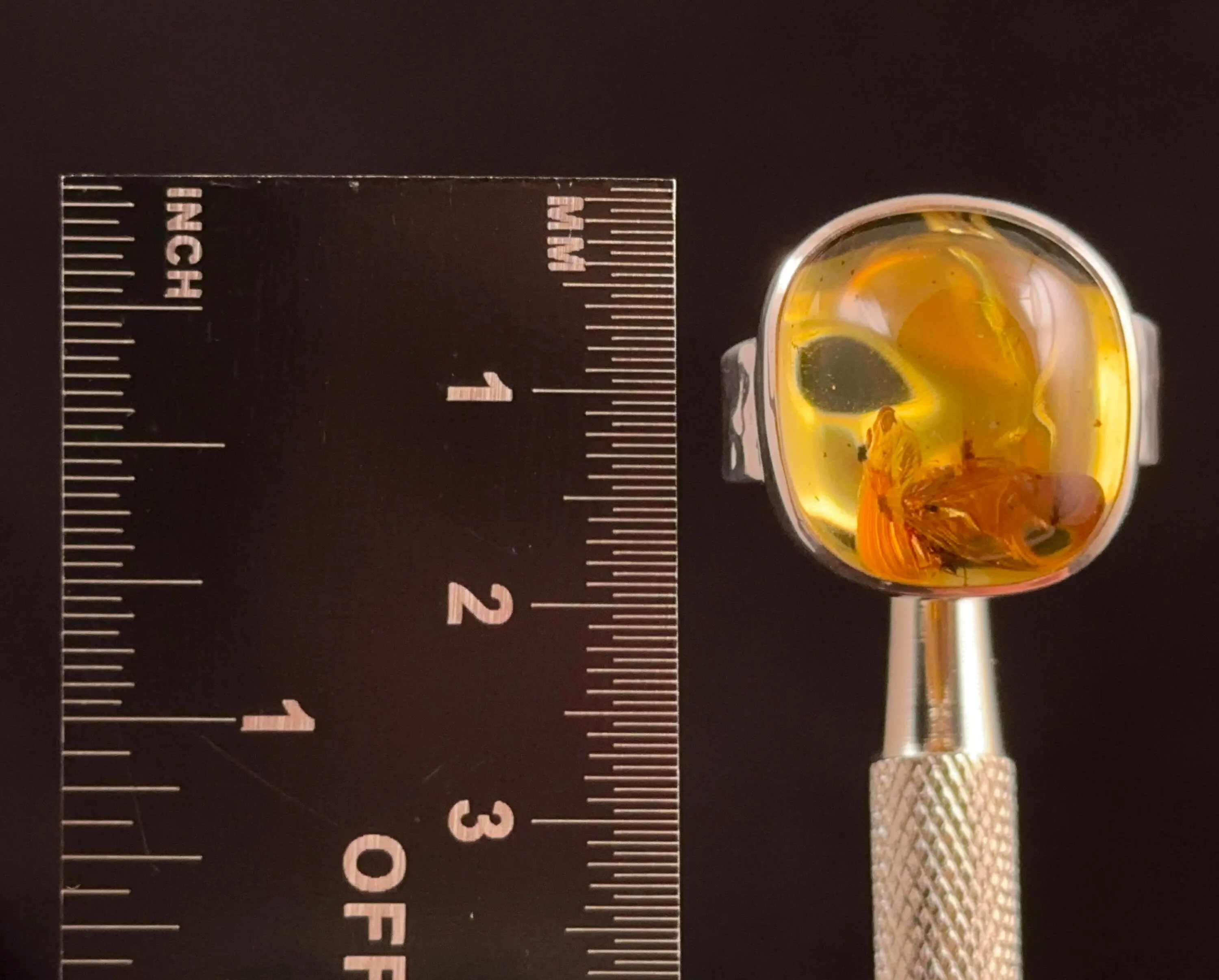 Natural AMBER Ring Insects - SIZE 7.5- Genuine Sterling Silver Ring with a Polished AMBER Center Stone, 53779