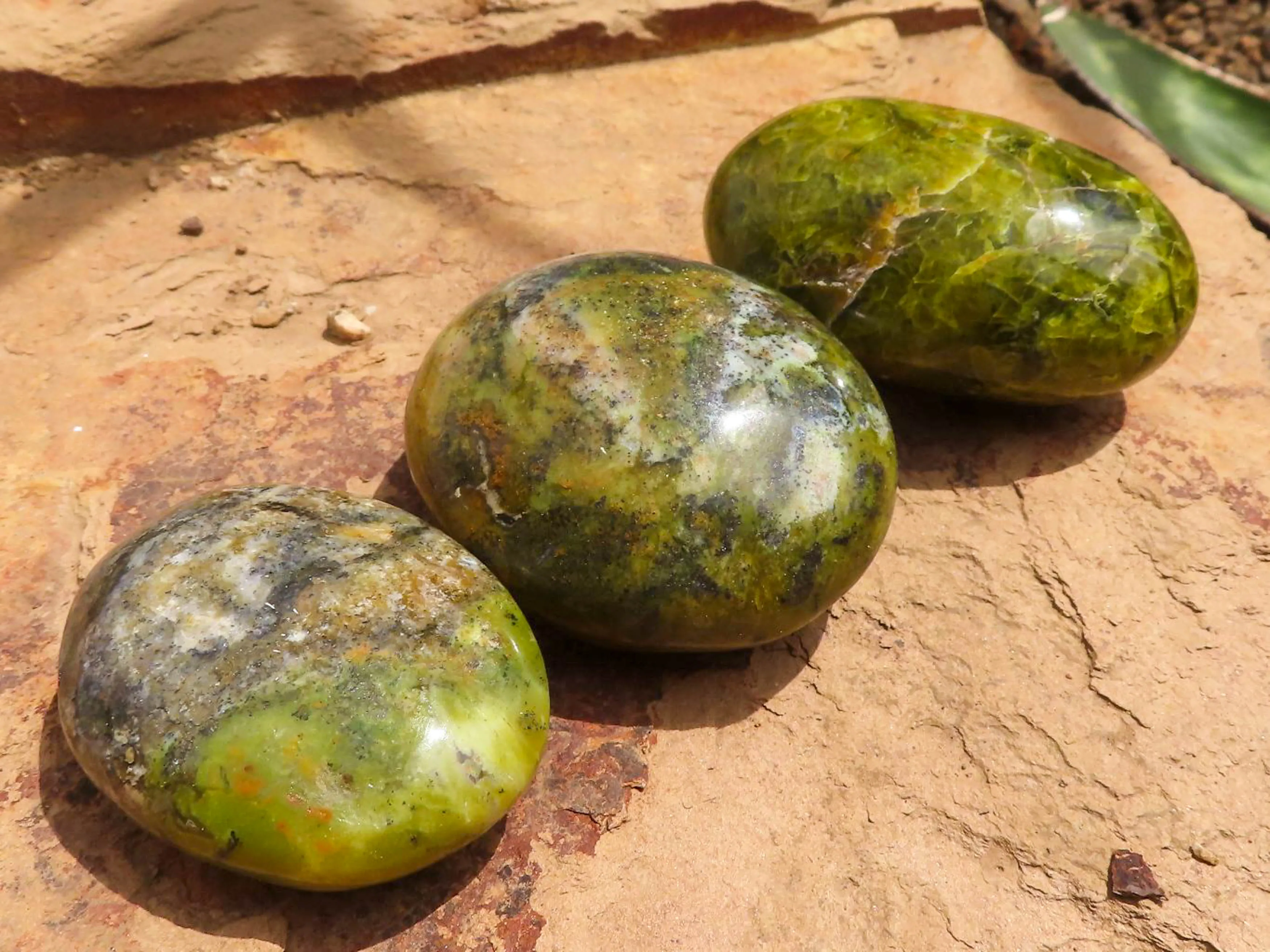 Polished Green Opal Galet / Palm Stones x 12 From Antsirabe, Madagascar