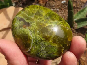 Polished Green Opal Galet / Palm Stones x 12 From Antsirabe, Madagascar