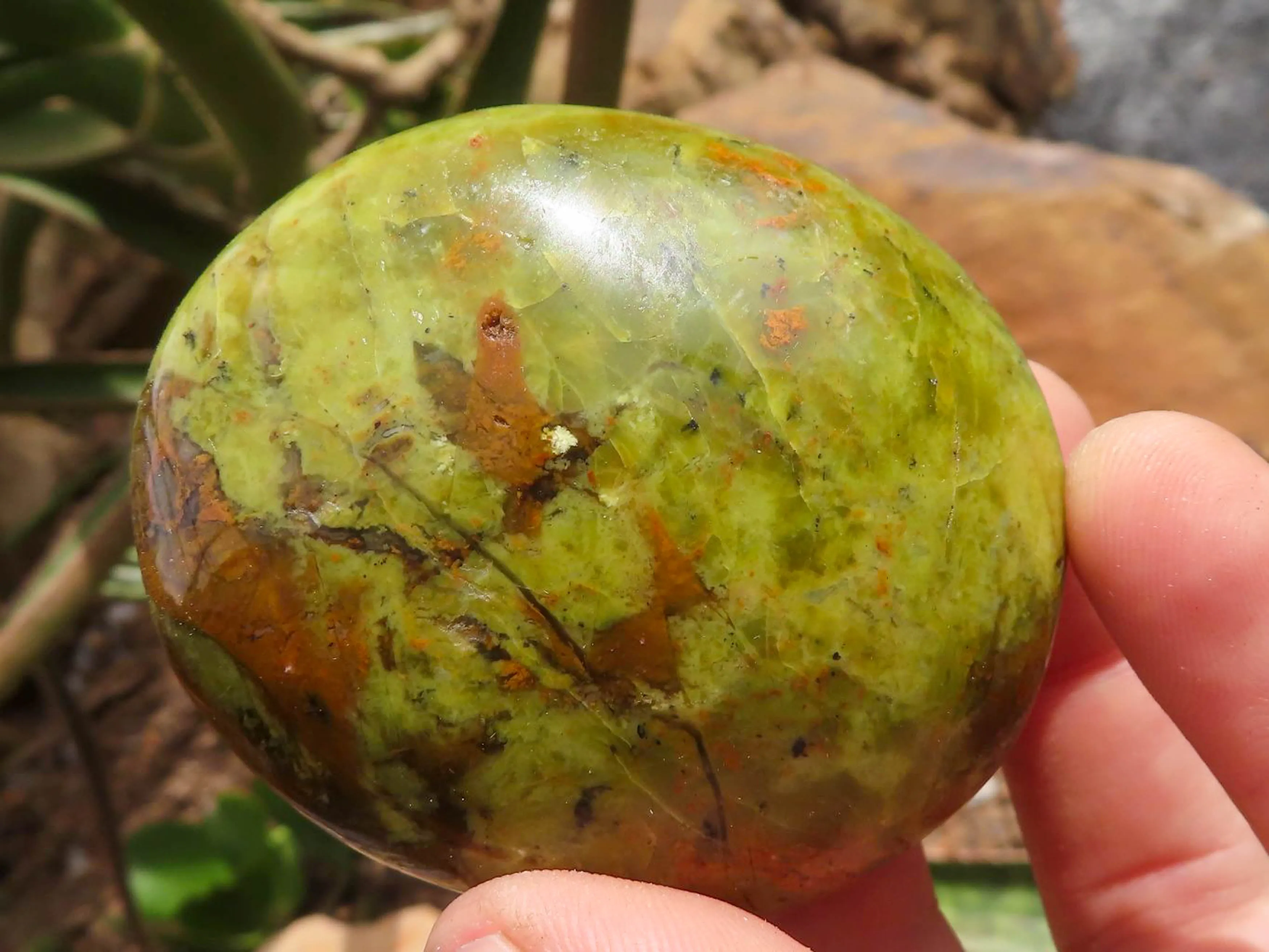 Polished Green Opal Galet / Palm Stones x 12 From Antsirabe, Madagascar