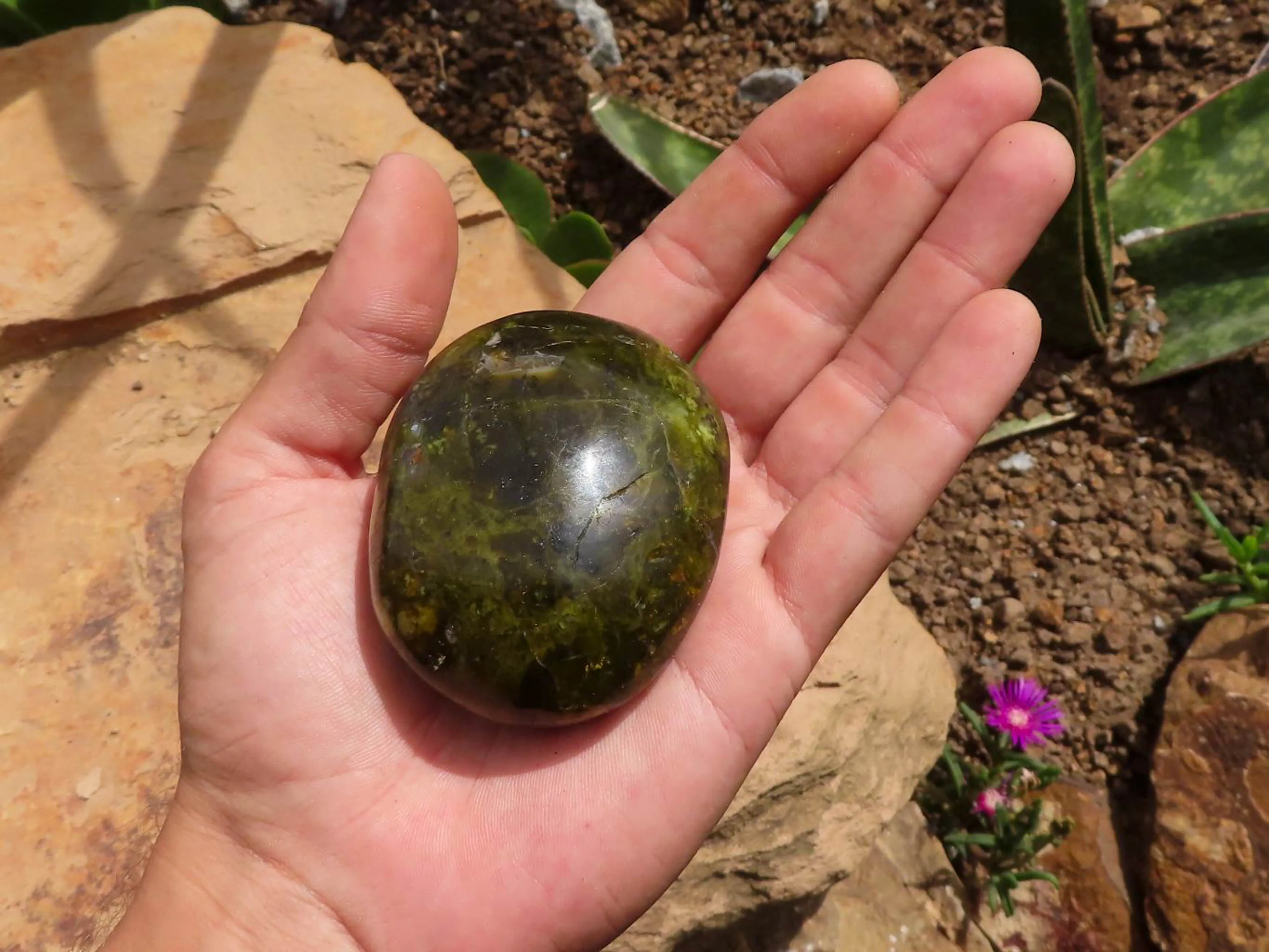 Polished Green Opal Galet / Palm Stones x 12 From Antsirabe, Madagascar