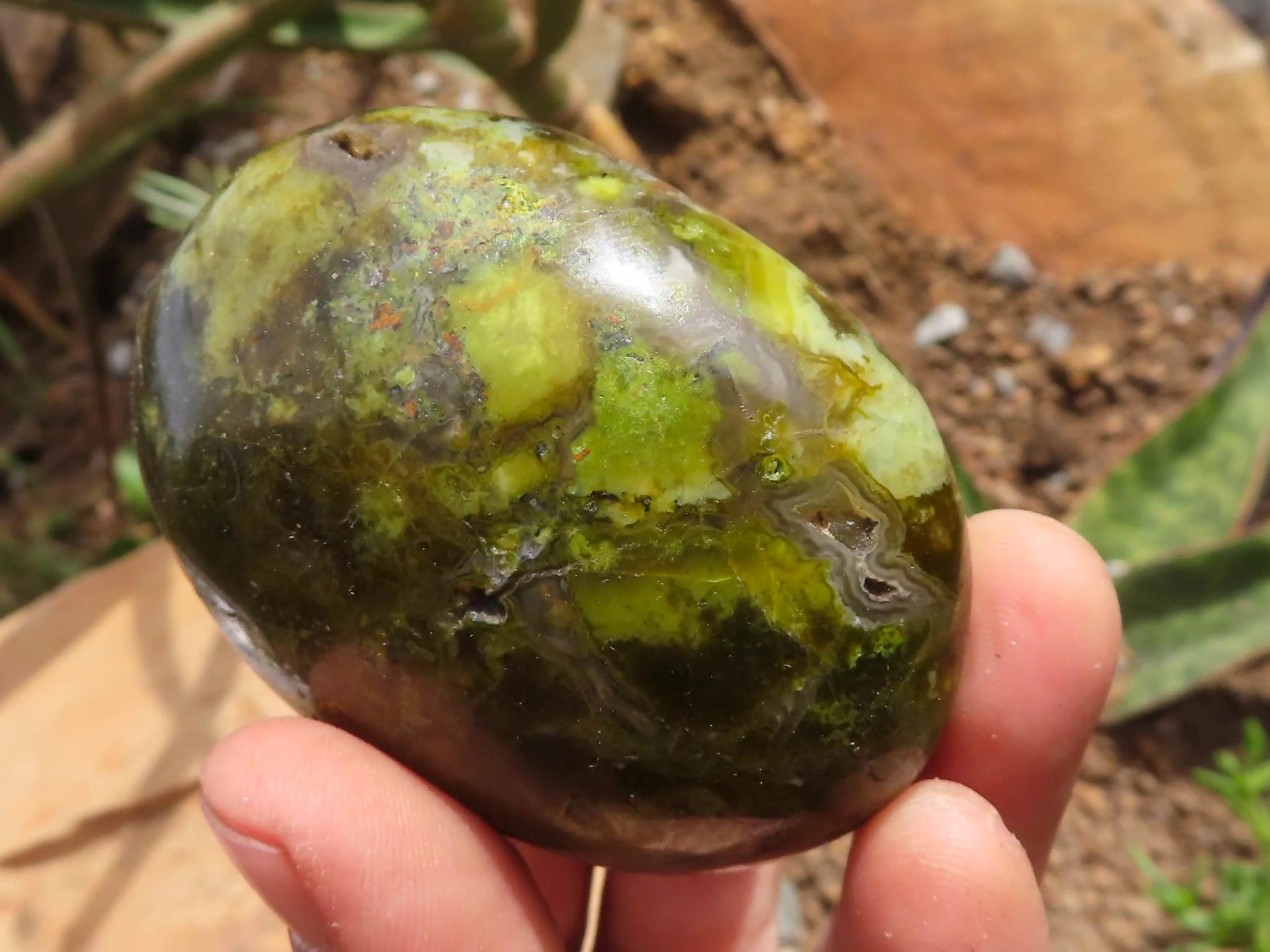 Polished Green Opal Galet / Palm Stones x 12 From Antsirabe, Madagascar