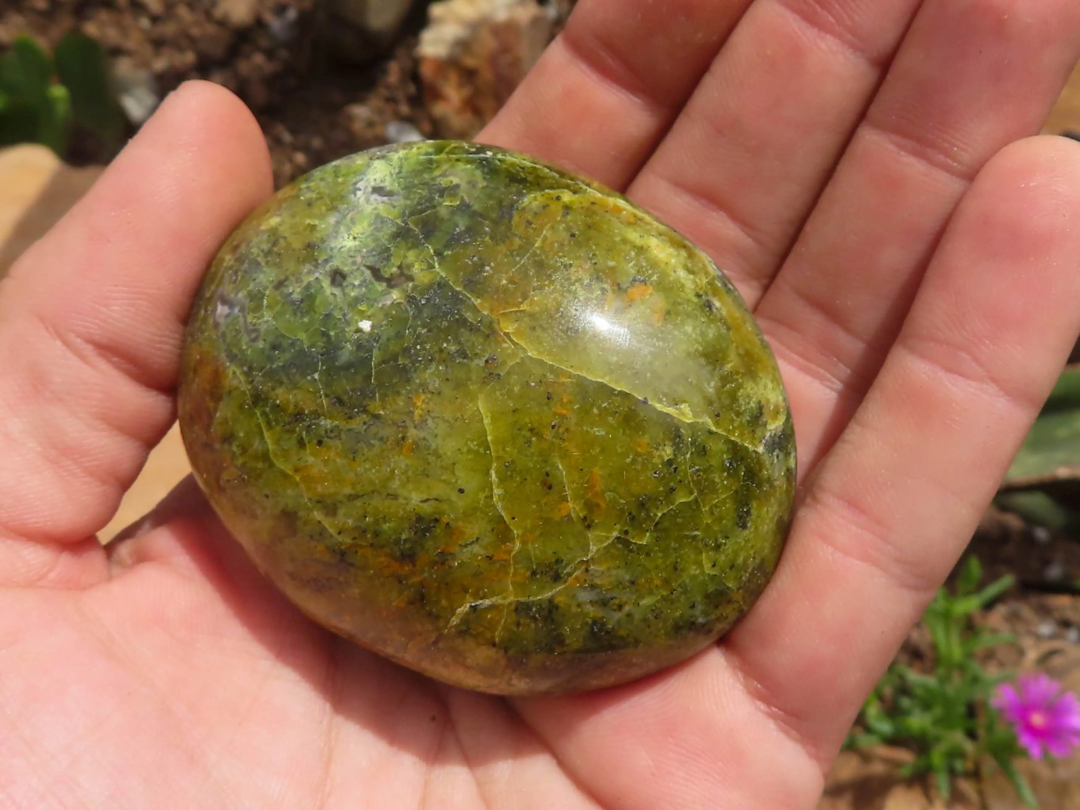 Polished Green Opal Galet / Palm Stones x 12 From Antsirabe, Madagascar